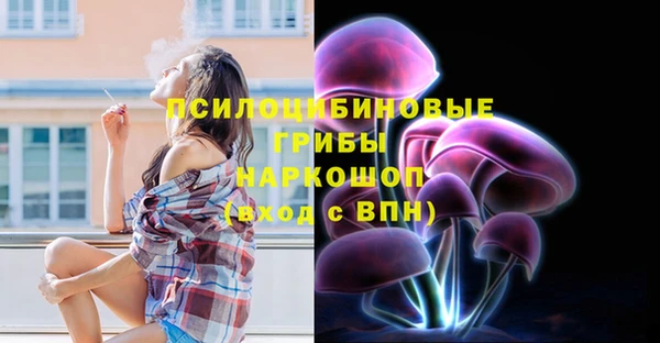 прущая мука Тайга
