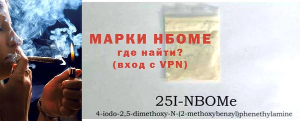 ГАЛЛЮЦИНОГЕННЫЕ ГРИБЫ Богданович
