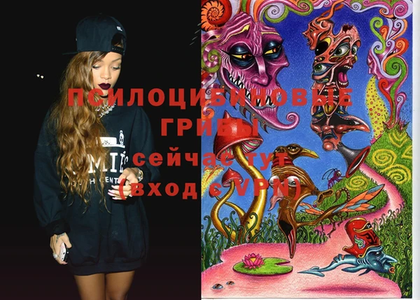 ECSTASY Сясьстрой