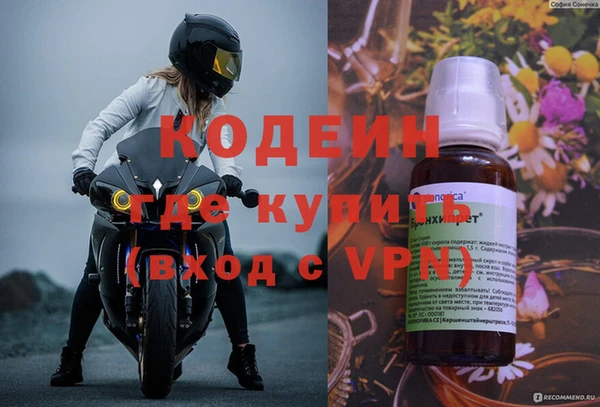 ГАЛЛЮЦИНОГЕННЫЕ ГРИБЫ Богданович