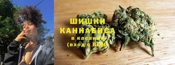 ГАЛЛЮЦИНОГЕННЫЕ ГРИБЫ Богданович