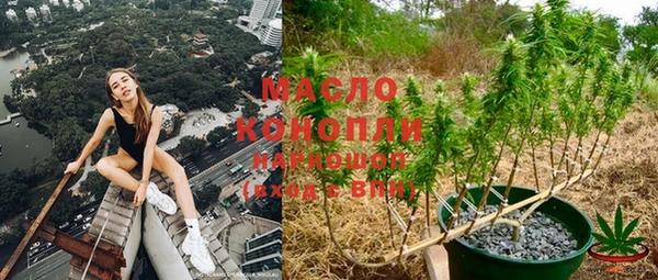 ГАЛЛЮЦИНОГЕННЫЕ ГРИБЫ Богданович